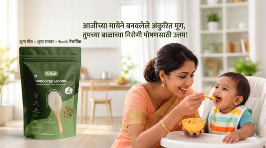 ६+ महिन्यांच्या बाळासाठी मूग सत्त्वाच्या १० सोप्या आणि पौष्टिक रेसिपी